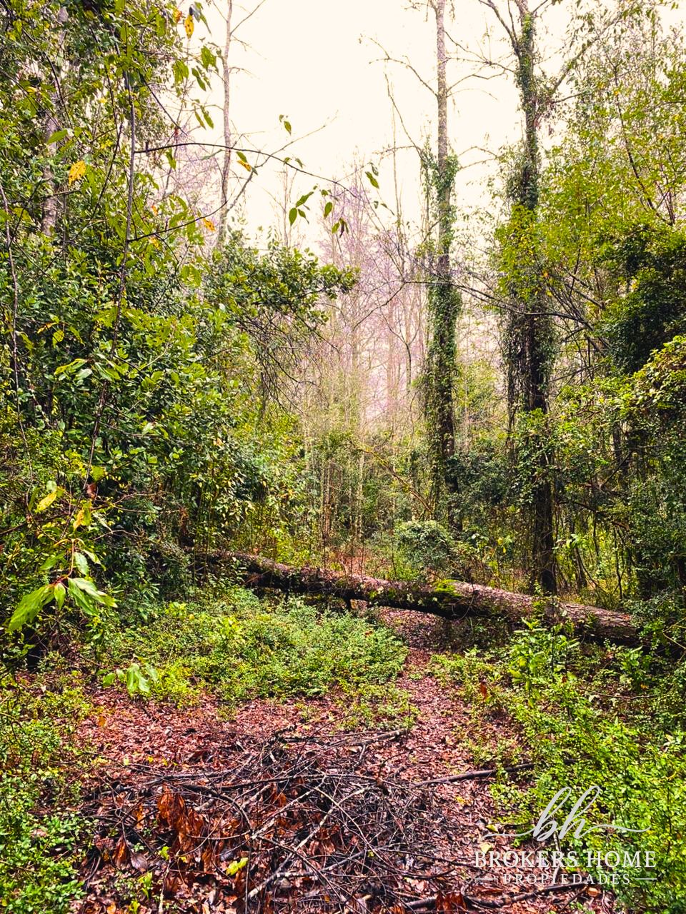 Venta de Lotes sector Molco, Villarrica.