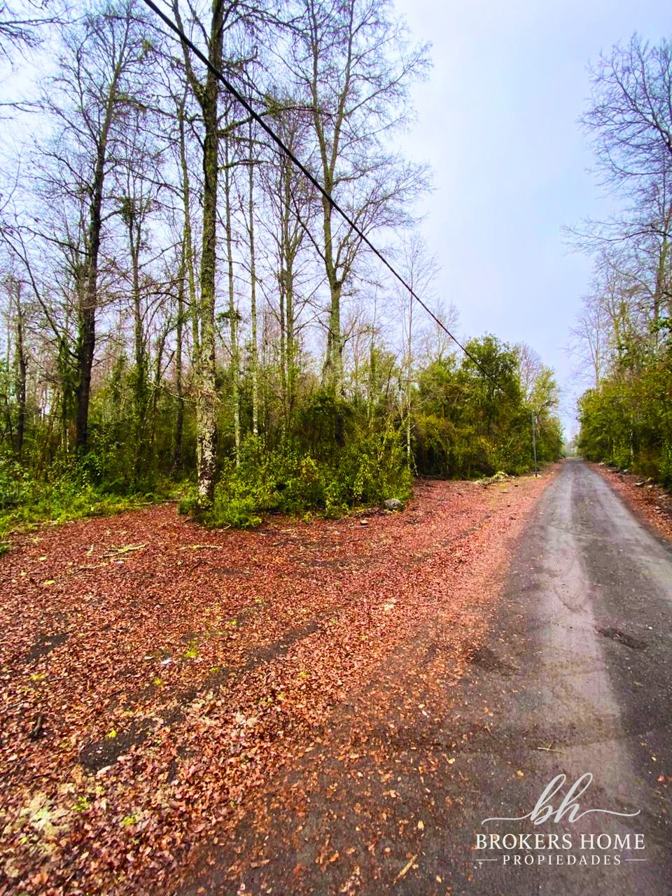 Venta de Lotes sector Molco, Villarrica.