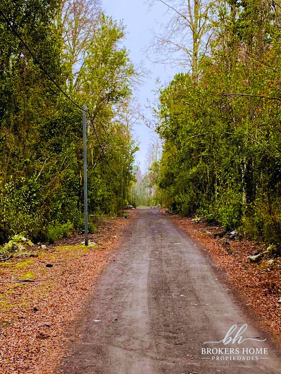 Venta de Lotes sector Molco, Villarrica.
